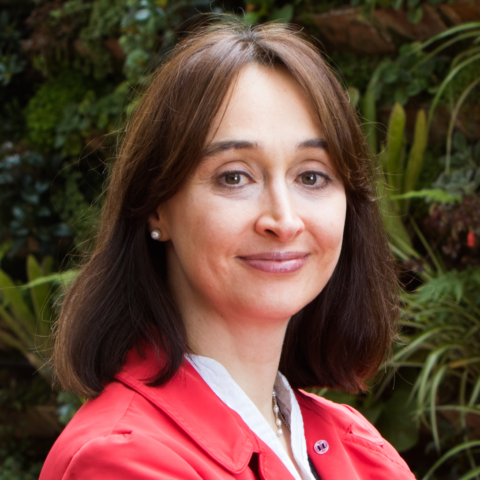 CEO <br> World Green Building Council - 
